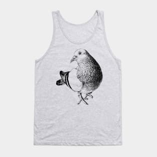 Feral Pigeon Animal Portrait Tank Top